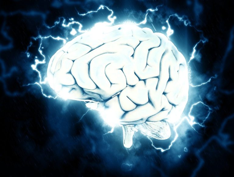 Mozak - naše super računalo 1. dio